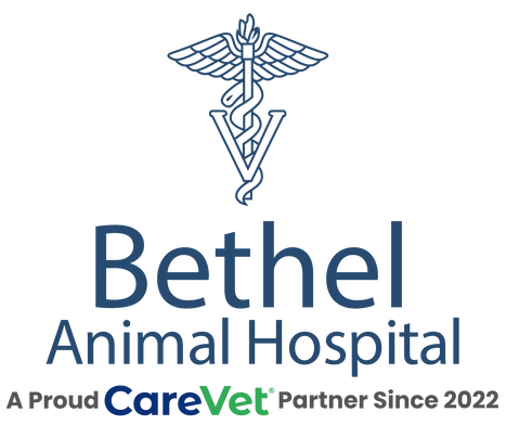 Bethel Animal Hospital Logo